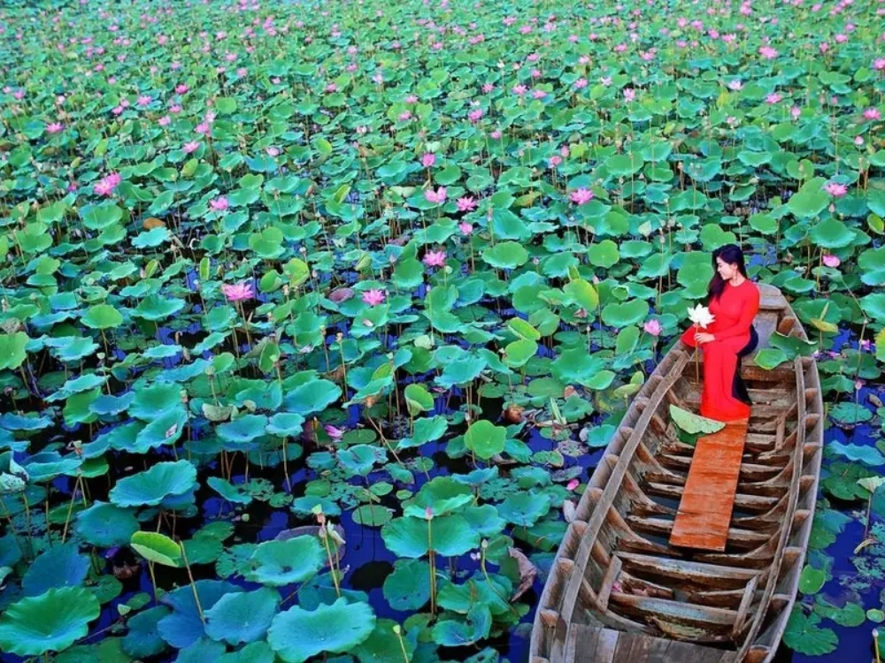 Những trải nghiệm thú vị khi tham quan tại khu du lịch Đồng Sen Tháp Mười